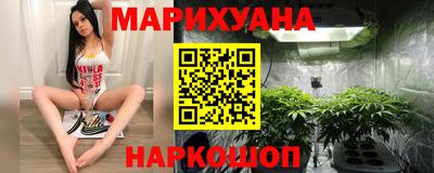 крисы Краснодар