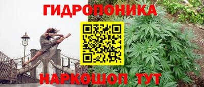 крисы Краснодар