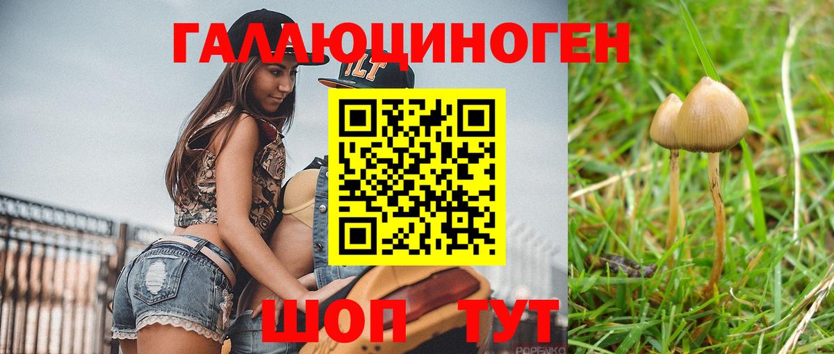 Карпинск  Галлюциногенные грибы GOLDEN TEACHER  Галлюциногенные грибы Psilocybine cubensis  что такое наркотик  Вход с VPN 